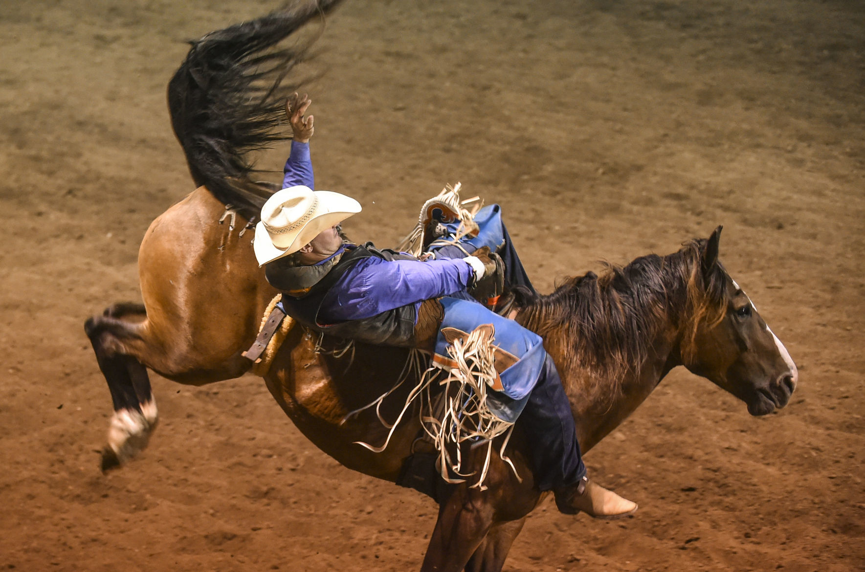 081619-mda-nws-rodeo-47.jpg